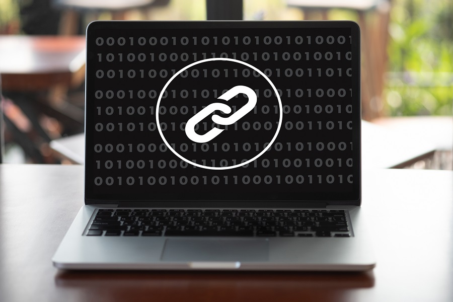 What Are PBN Links and How to Use Them